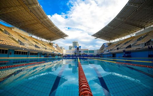 里约奥运游泳测试赛揭幕 中国队意在考察场地